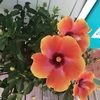 audrey5674